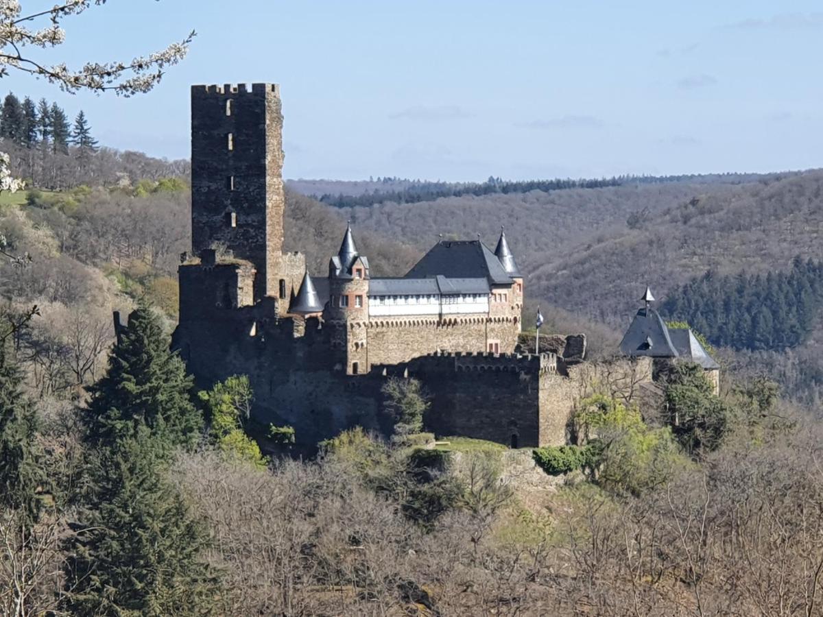Am Burggraben Auf Der Sauerburg Leilighet Sauerthal Eksteriør bilde